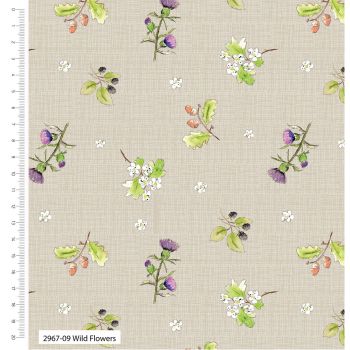 Debbie Shore 100% organic cotton from the A Country Walk range. Wild flowers.