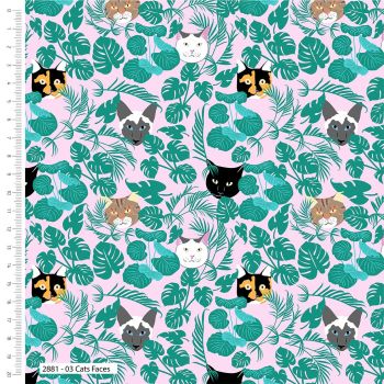 100% cotton from the Curious Cats range by Craft Cotton Co' - Cat Faces. REDUCED TO CLEAR.