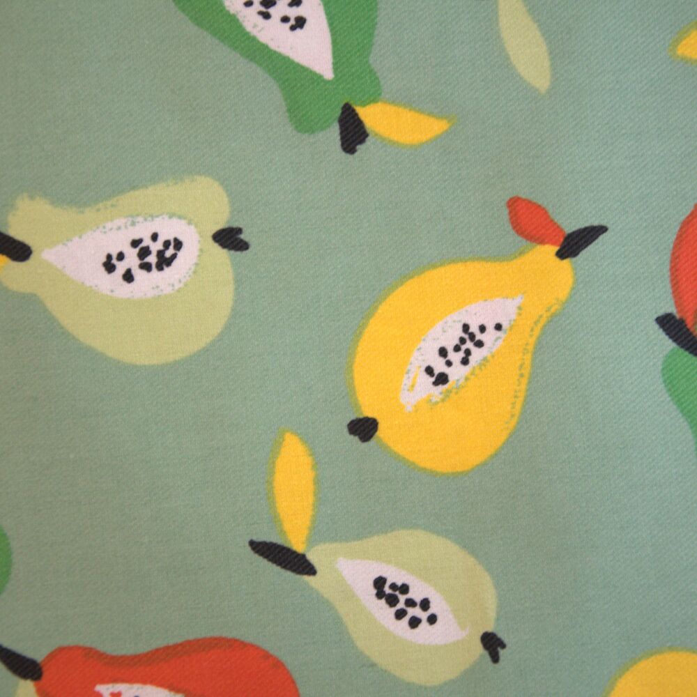 Canvas twill, med weight for cushions, bags etc. 3 METRE PRE CUT length, 54 inch wide [fruit on mint]
