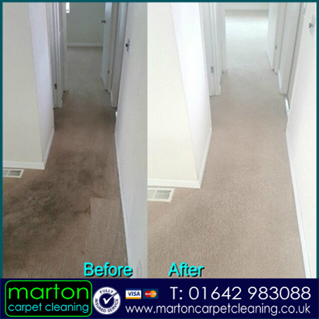 Hall carpet cleaned in Hemlington by Manor Carpet Cleaning
