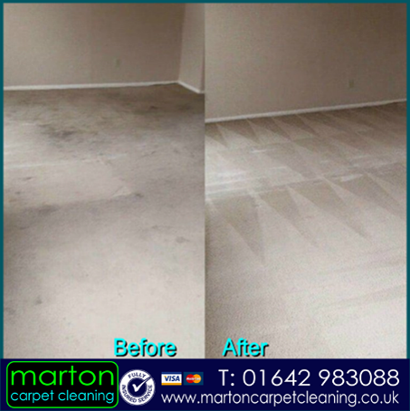 Living room cleaned in Middlesbrough by Marton Carpet Cleaning