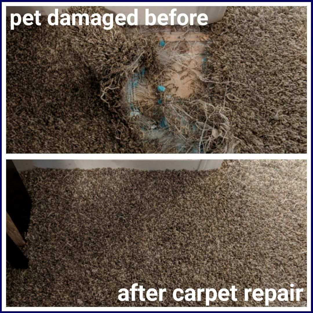 carpet pet damage repairs Middlesbrough, carpet pet damage repair stockton on tees, carpet pet damage repair hartlepool, carpet pet damage repair redcar