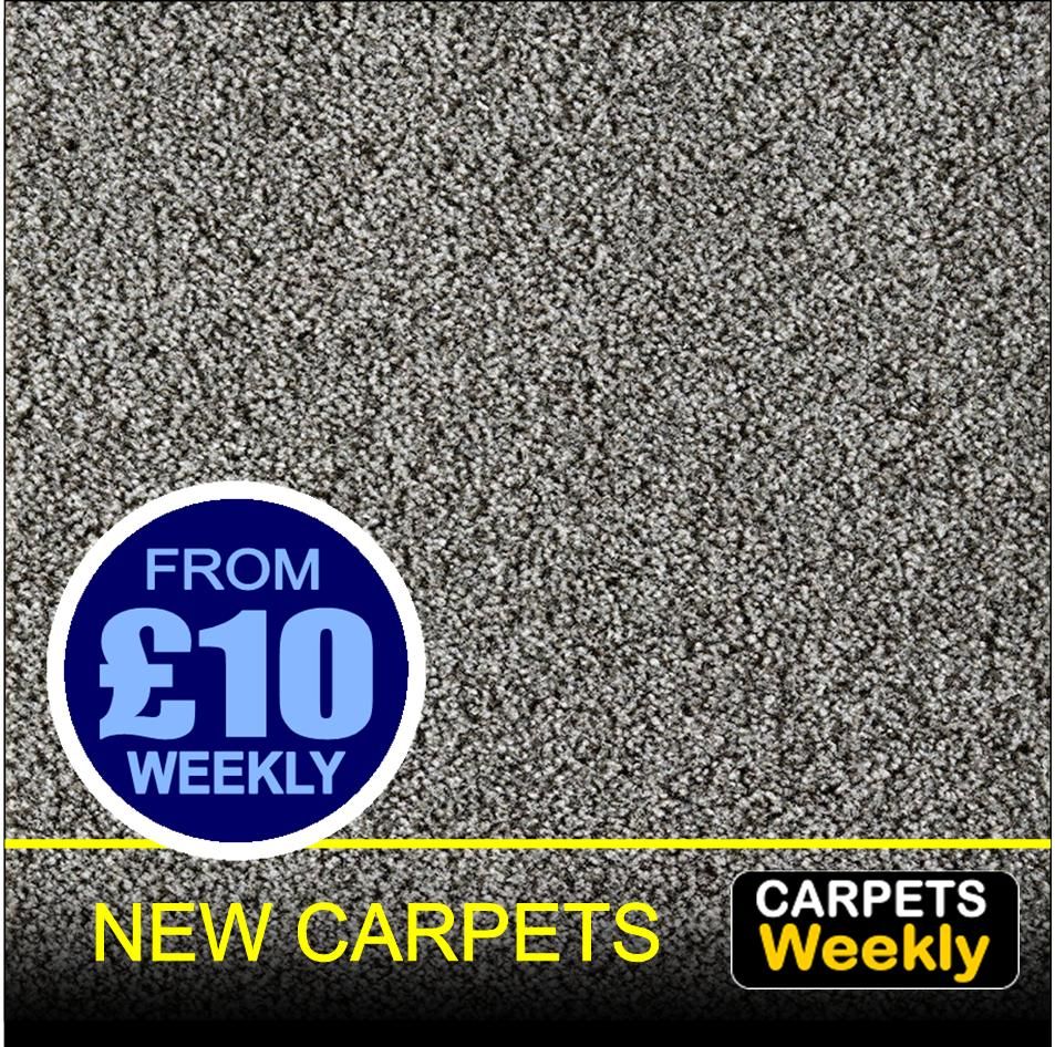Top Saxony  SILVER SHADOW from Carpets Weekly
