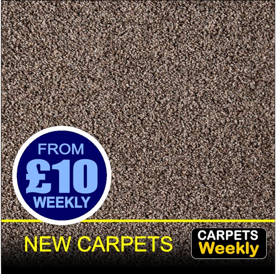 Top Saxony  MINK from Carpets Weekly