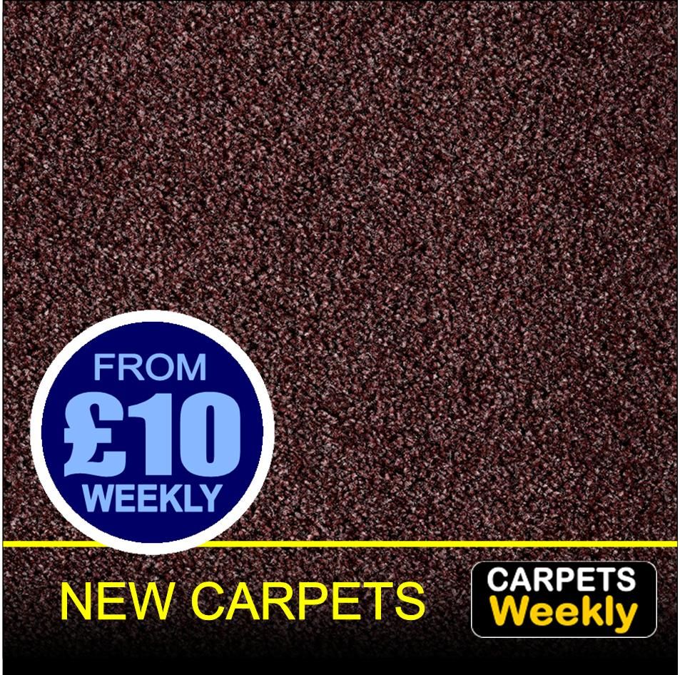 Top Saxon MOHOGANY from Carpets Weekly