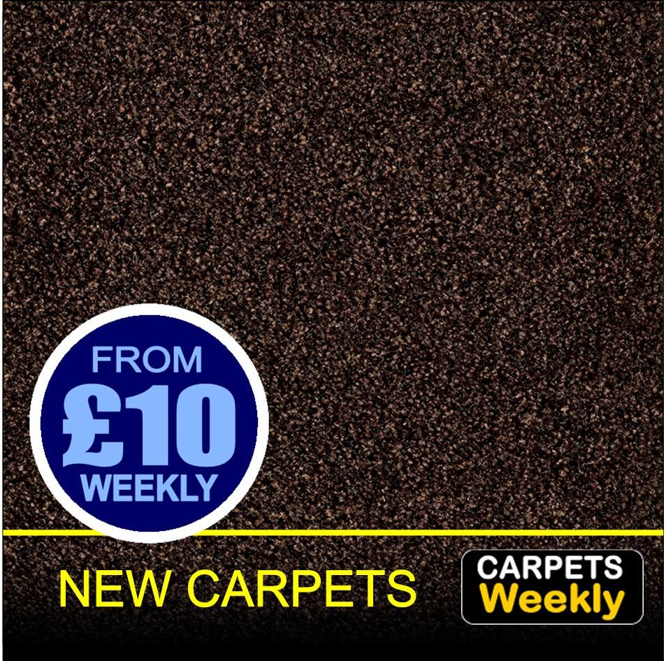Top Saxon CHESTNUT from Carpets Weekly