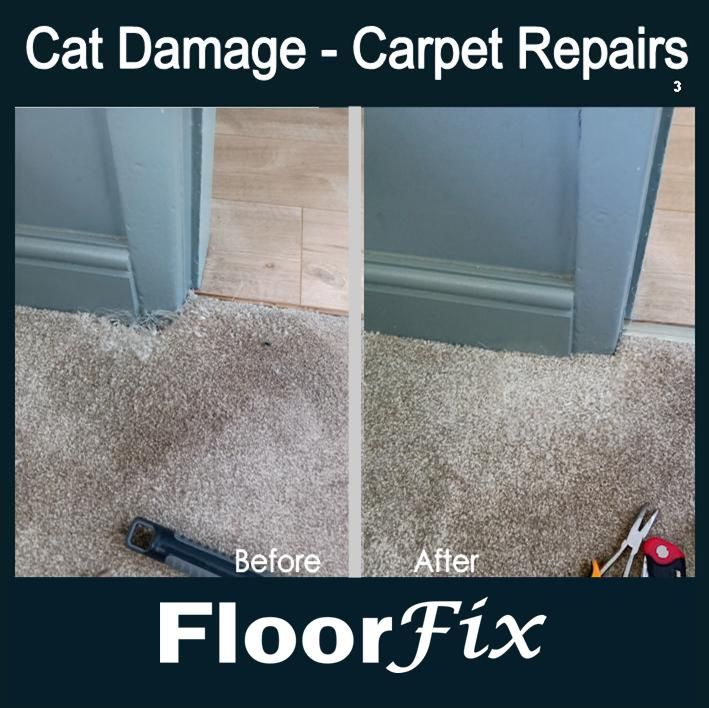 Cat damage carpet repairs 3.jpg
