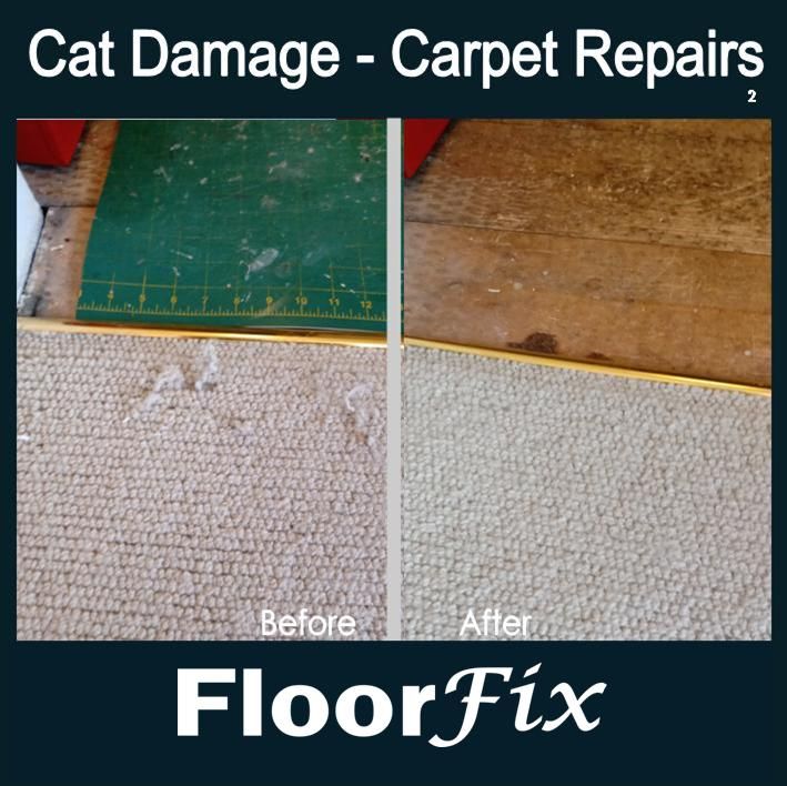 Cat damage carpet repairs 2.jpg