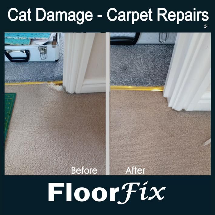 Cat damage carpet repairs 5.jpg
