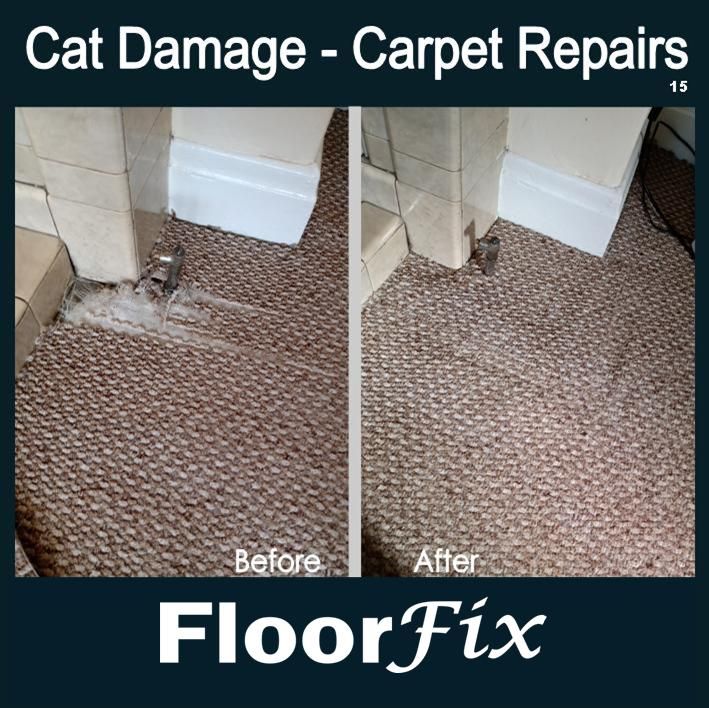 Cat damage carpet repairs 15.jpg
