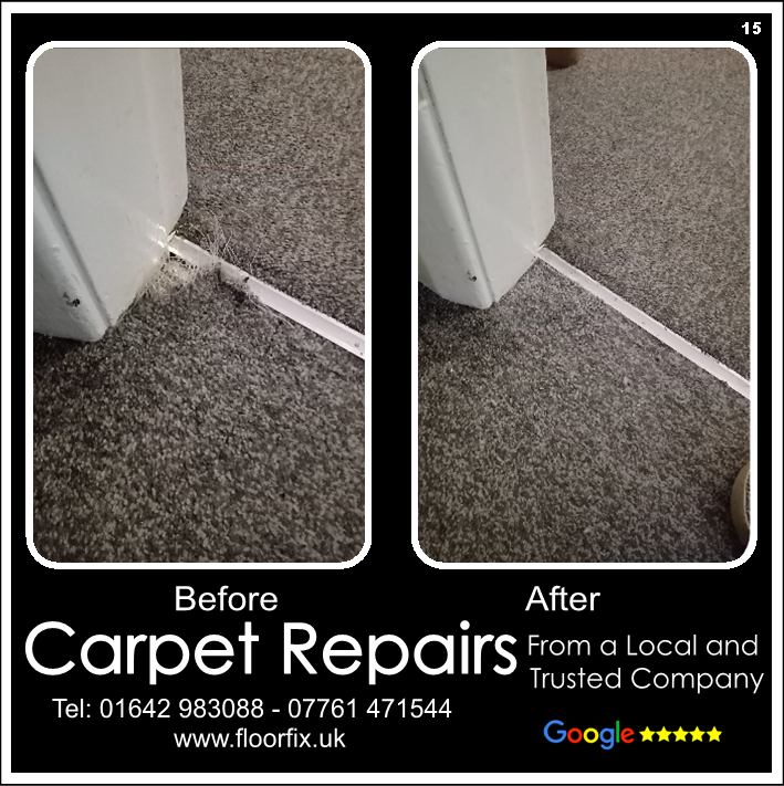 Puppy carpet damage repaired in Stockton on Tees