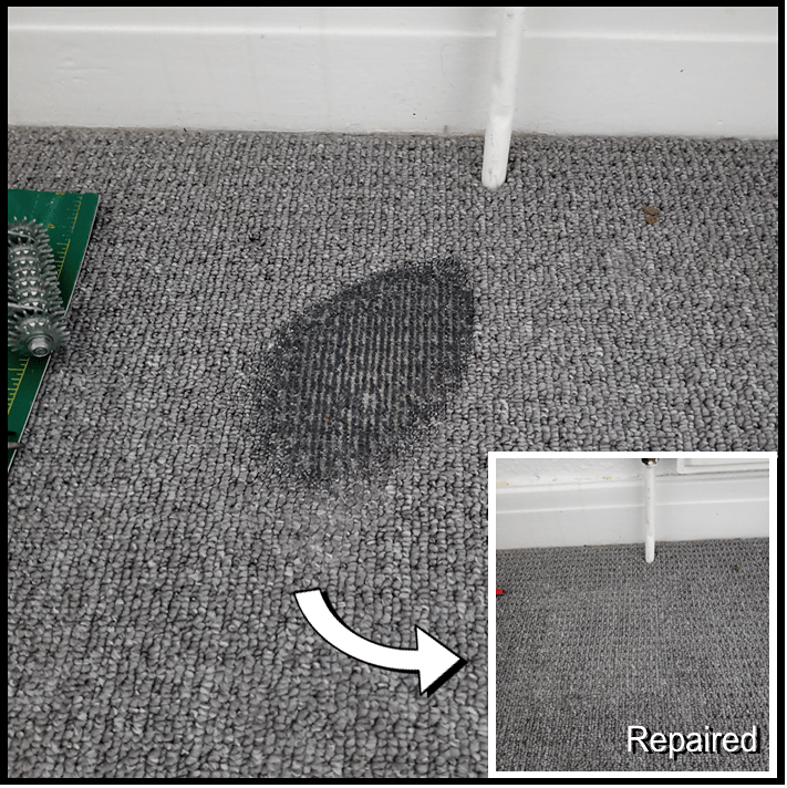 Puppy carpet damage repaired in Guisborough