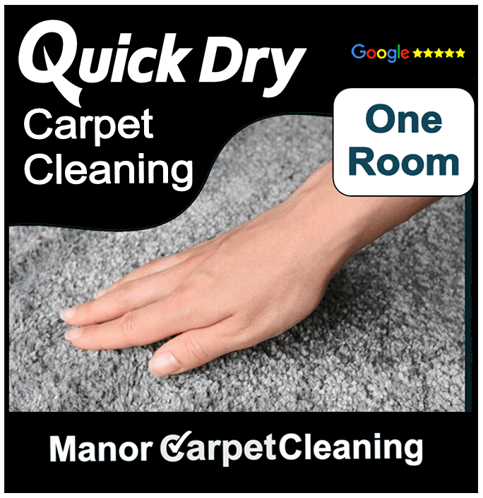 Single room carpet cleaning book online