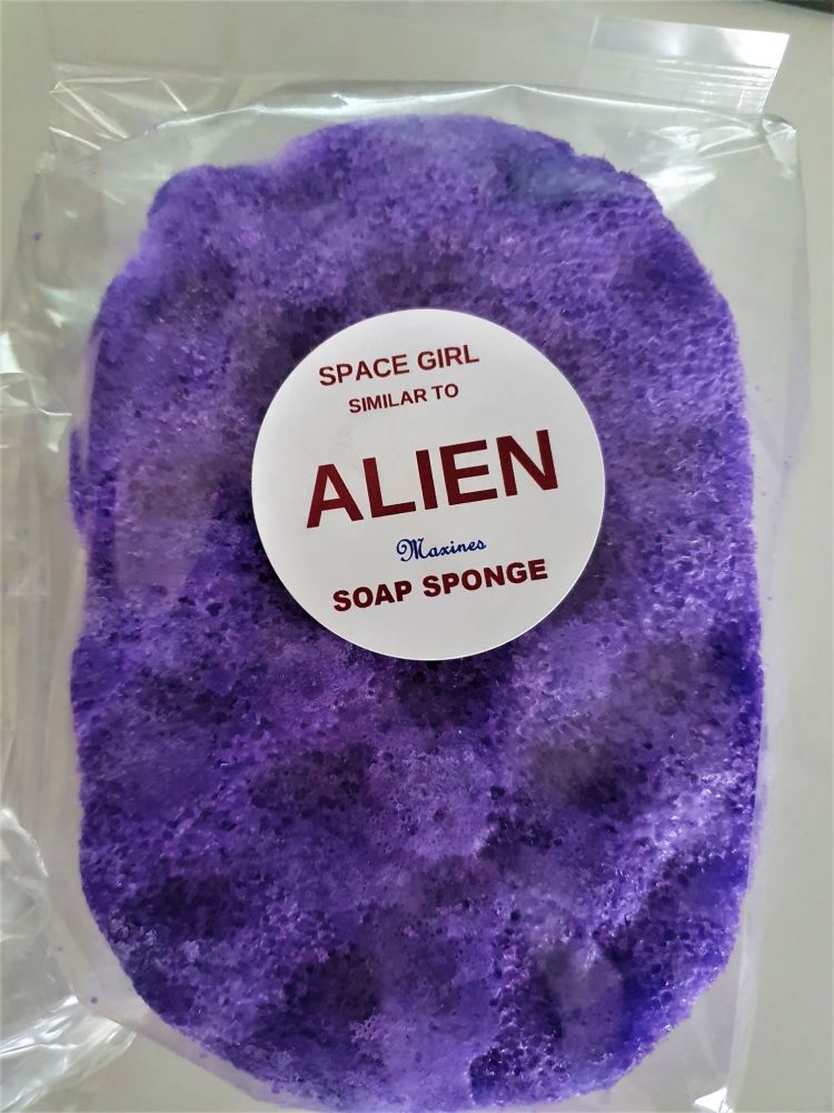 ALIEN SOAP SPONGE  (SIMILAR TO )