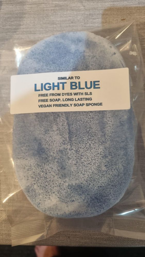 LIGHT BLUE  (SIMILAR TO ) SOAP SPONGE