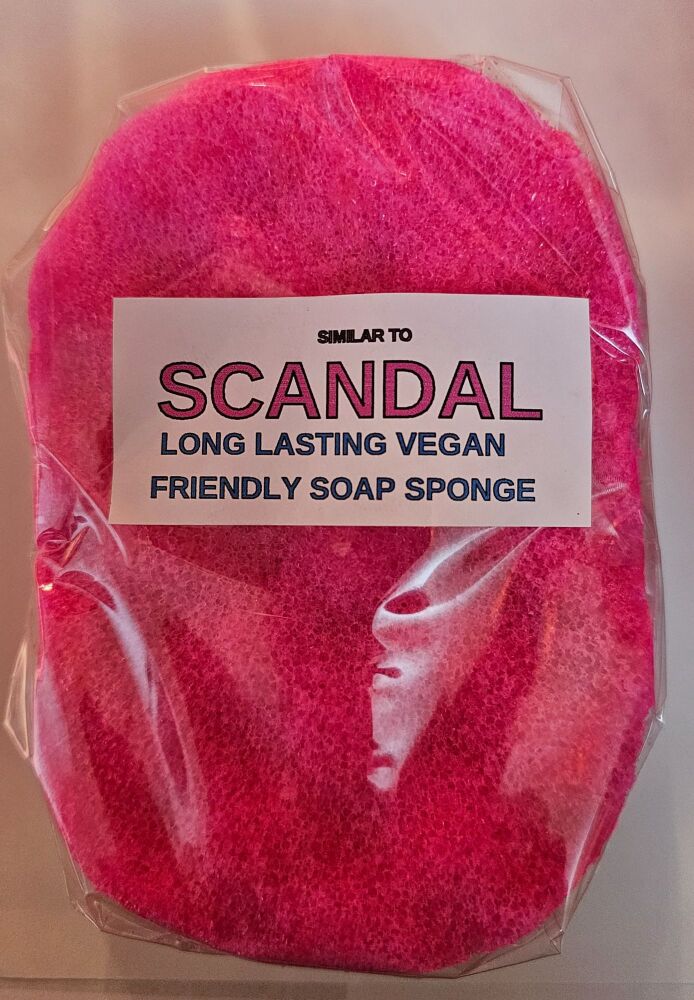 SCANDAL ( SIMILAR TO ) SOAP SPONGE