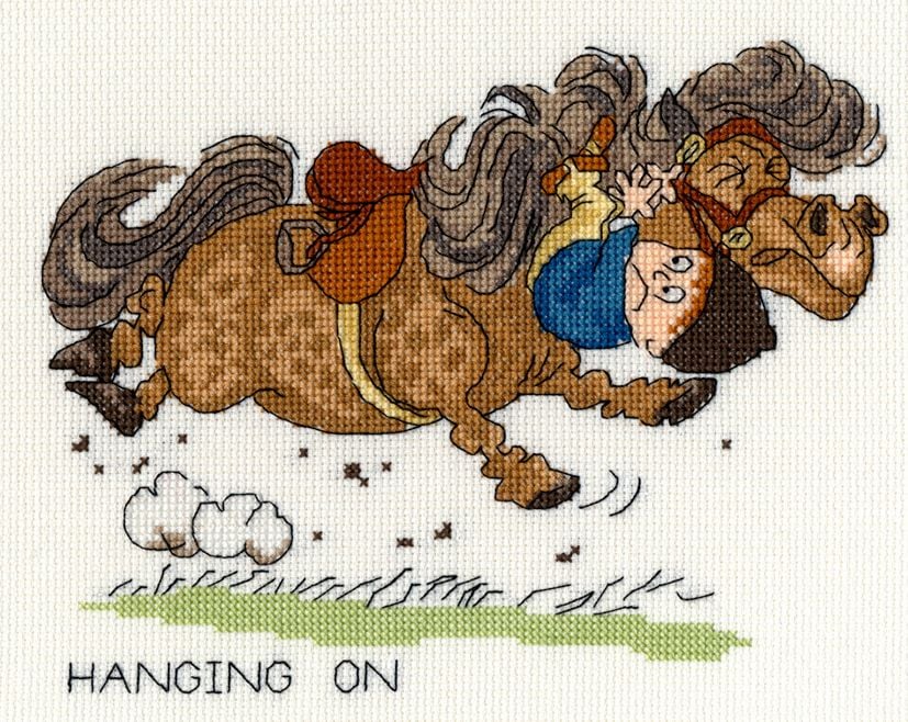 Bothy threads XT06 embroidery counted cross stitch range - Thelwell - Hanging On