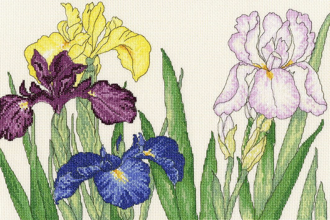 Bothy threads XBD14 embroidery counted cross stitch range - Iris blooms