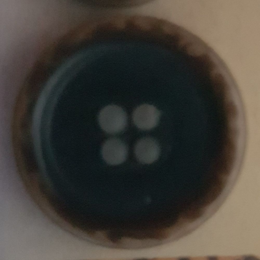 ECO button by Bonfanti Corozo 13601 36mm dia