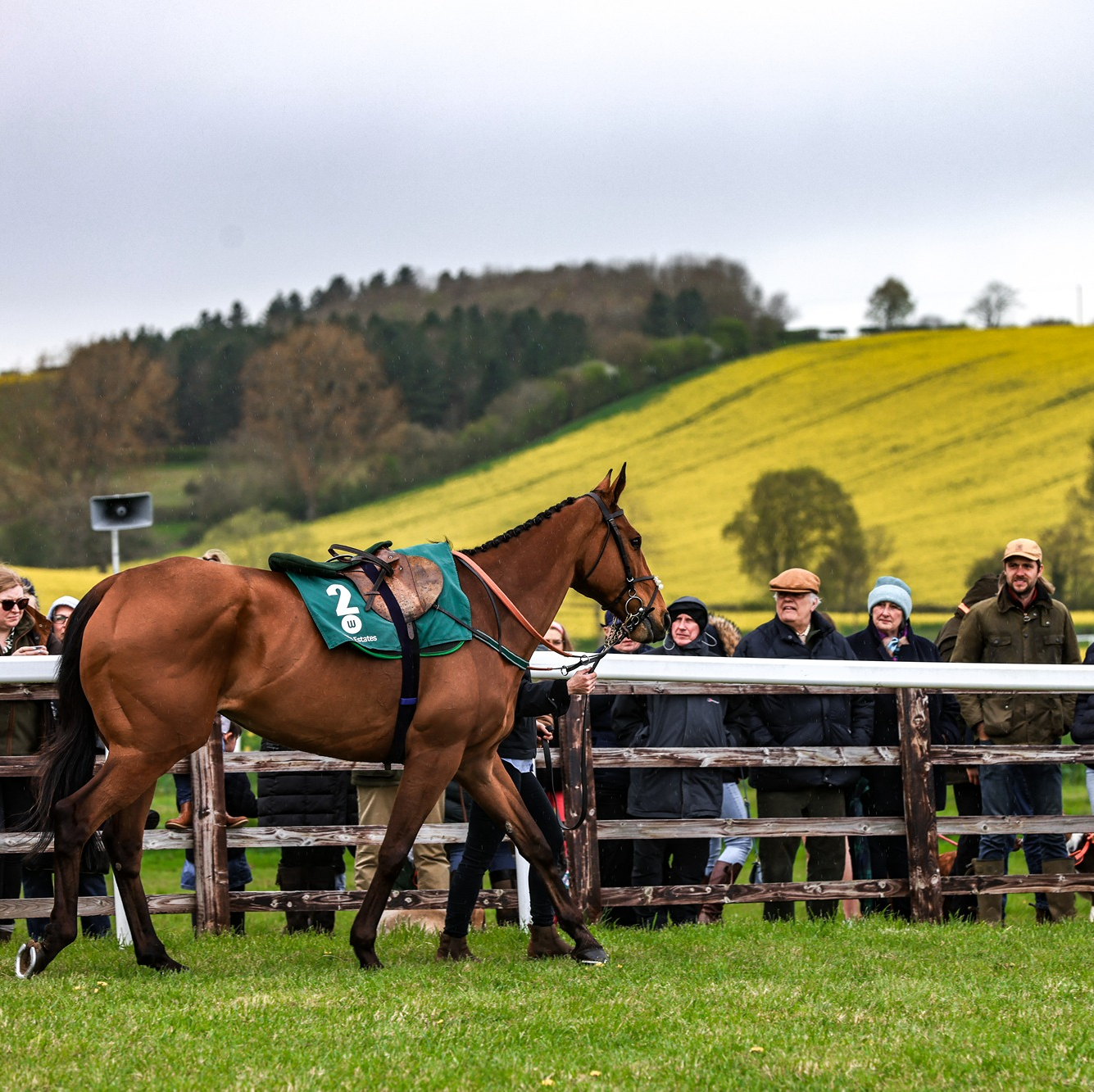 Bicester Point to point-3