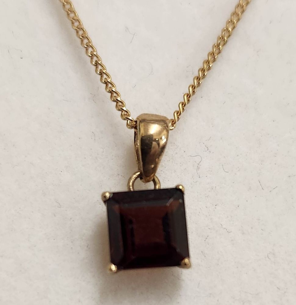 9ct Yellow Gold Garnet Pendent with chain