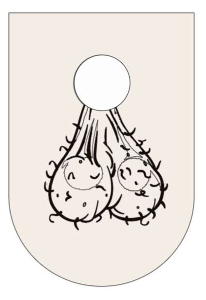 Boaby Bib with Testicles