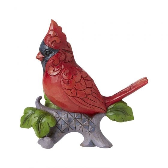 A Cardinal Signs for the Joy He Brings- Cardinal on Branch 6008416