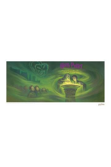 Harry Potter Art Print Half Blood Prince Book Cover Artwork Limited Edition 42 x 30 cm FNTK-THG-HP46
