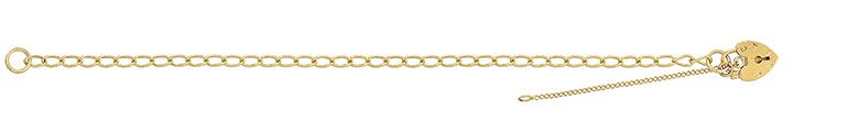 9CT YEL GOLD LADIES' CHARM BRCLT