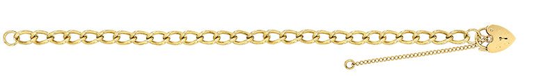 9CT YEL GOLD LADIES' 7.5 INCHES CHARM BRCLT