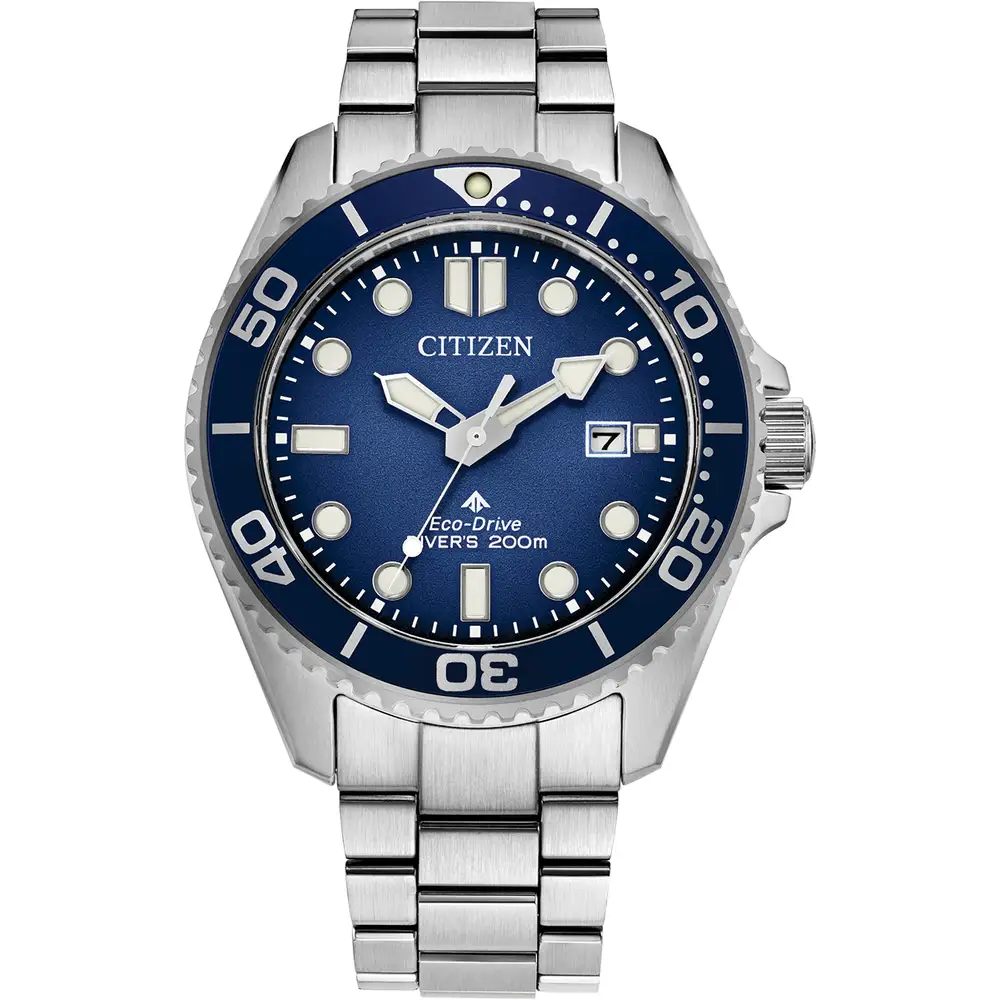 Promaster Diver