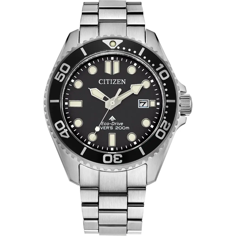 Promaster Diver