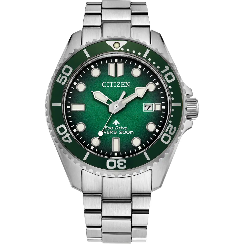 Promaster Diver