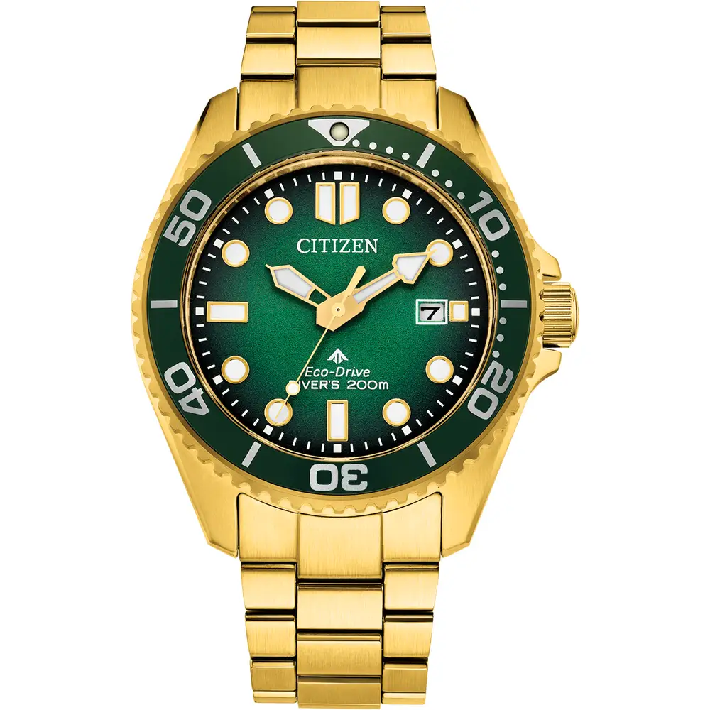 Promaster Diver