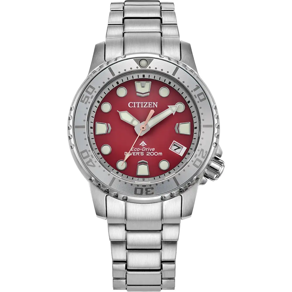 Promaster Diver