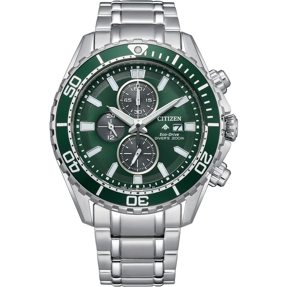 Promaster Diver