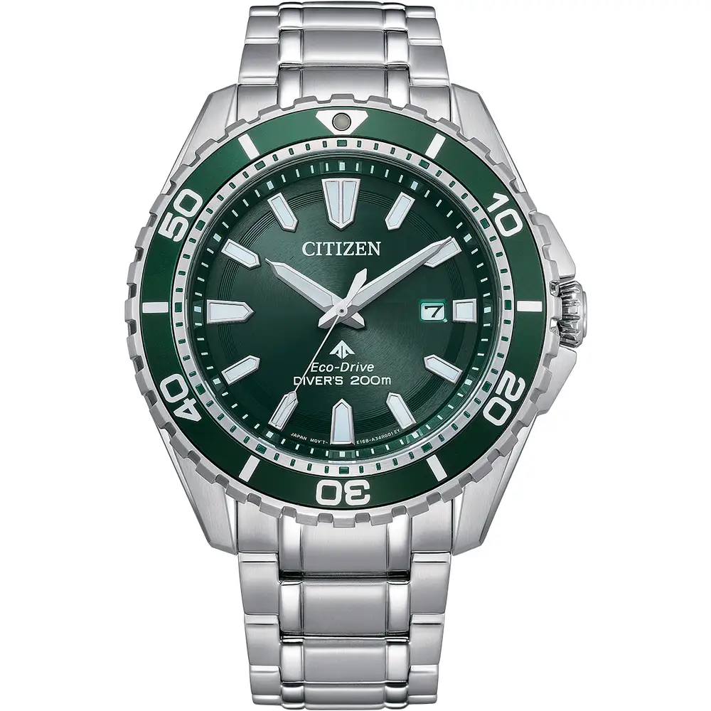 Promaster Diver