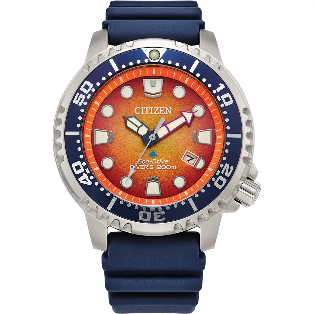 Promaster Diver