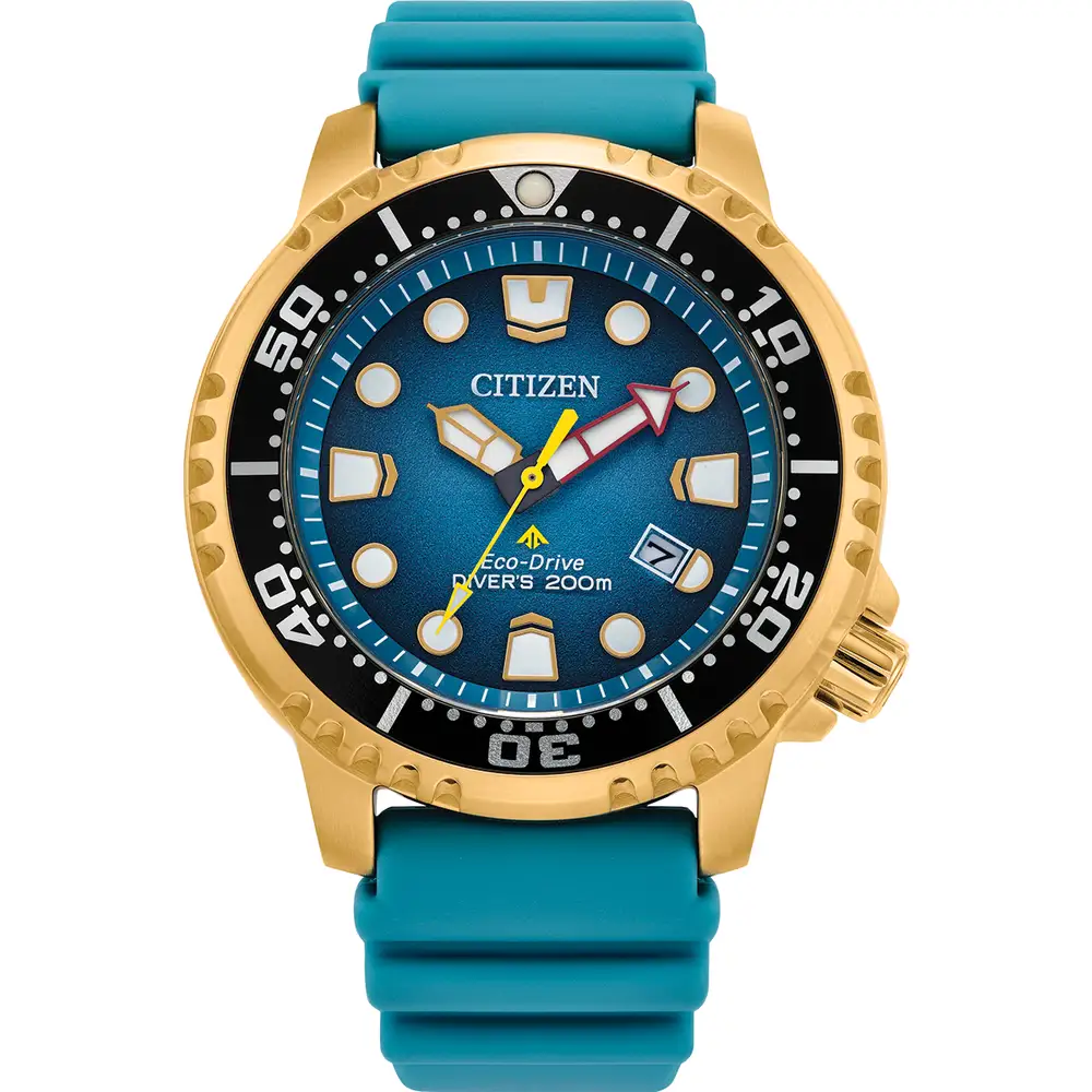 Promaster Diver