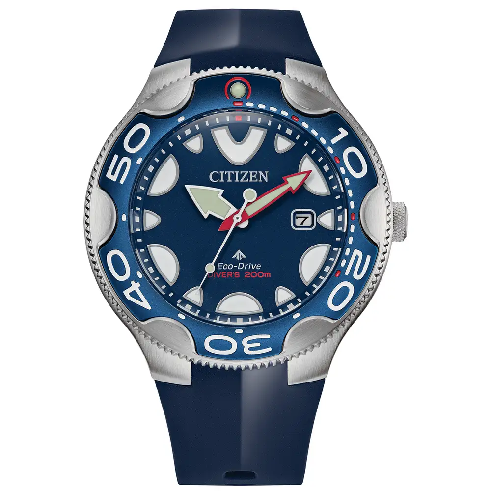 Promaster Diver