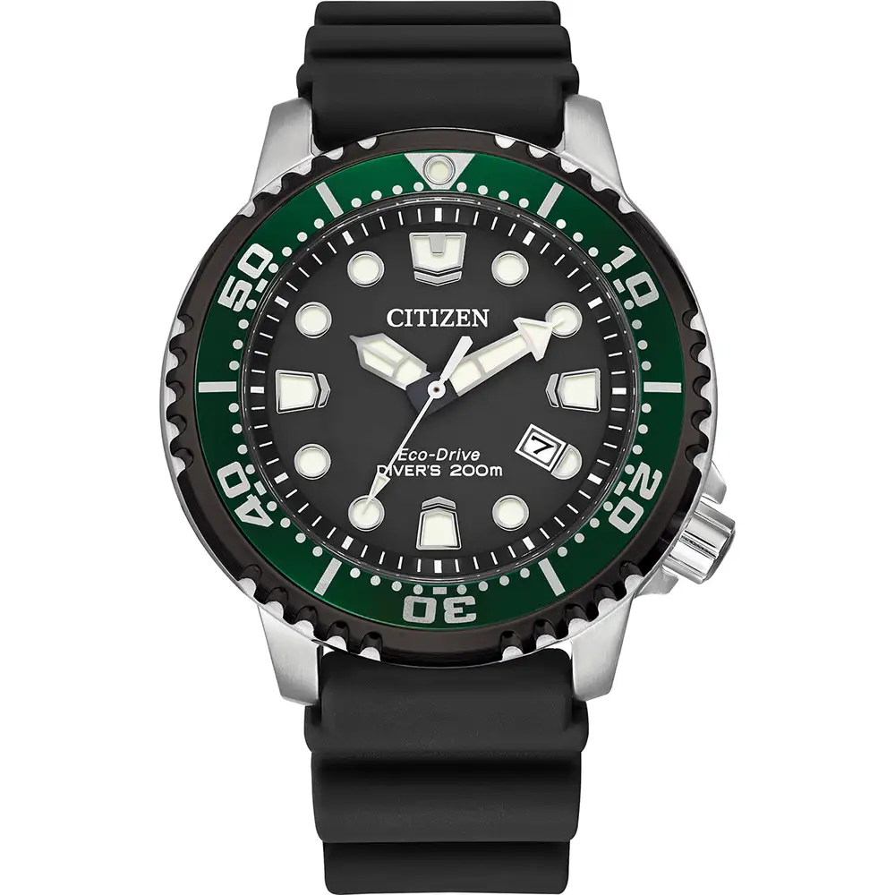 Promaster Diver