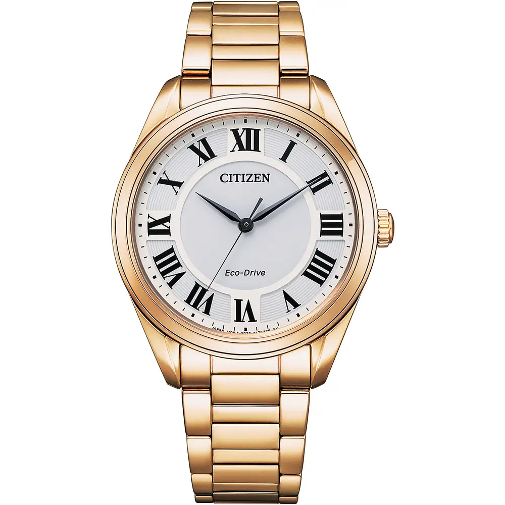 Ladies' Arezzo Watch
