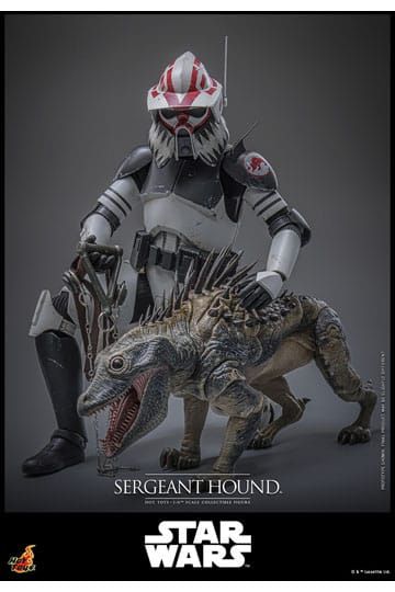Star Wars: The Clone Wars Action Figure 1/6 Sergeant Hound 30 cm