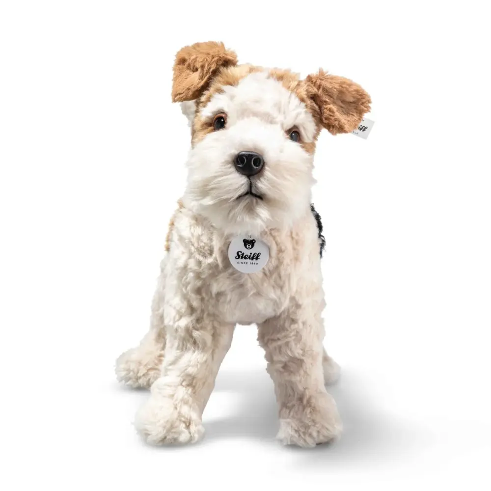 Foxy Fox Terrier