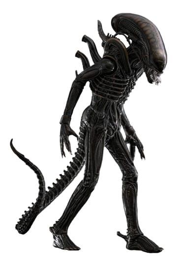 Alien Movie Masterpiece Action Figure 1/6 Big Chap 36 cm