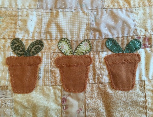 1. Locket’s Stay Home, Nurture, Grow kit