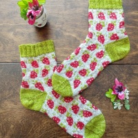 Berry Special Socks Kit