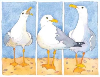 3 Seagulls Card