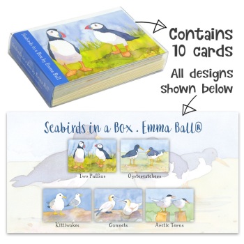 Seabirds Notecard Set