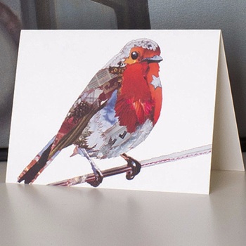 Robin blank card by Catherine Kleeli